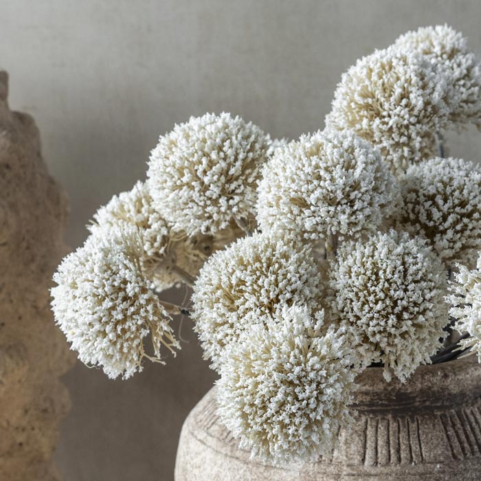 Artificial Allium Cream Bunch - Image 3