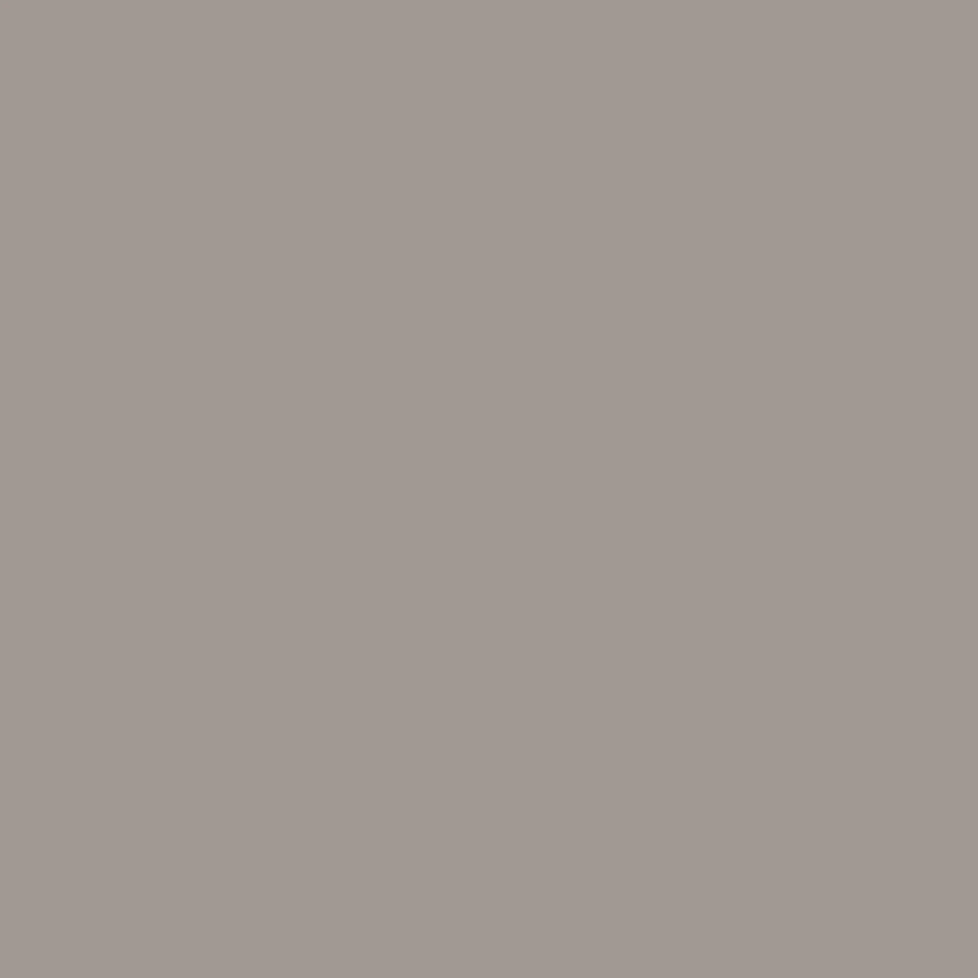 Anise Greige Paint - Image 4