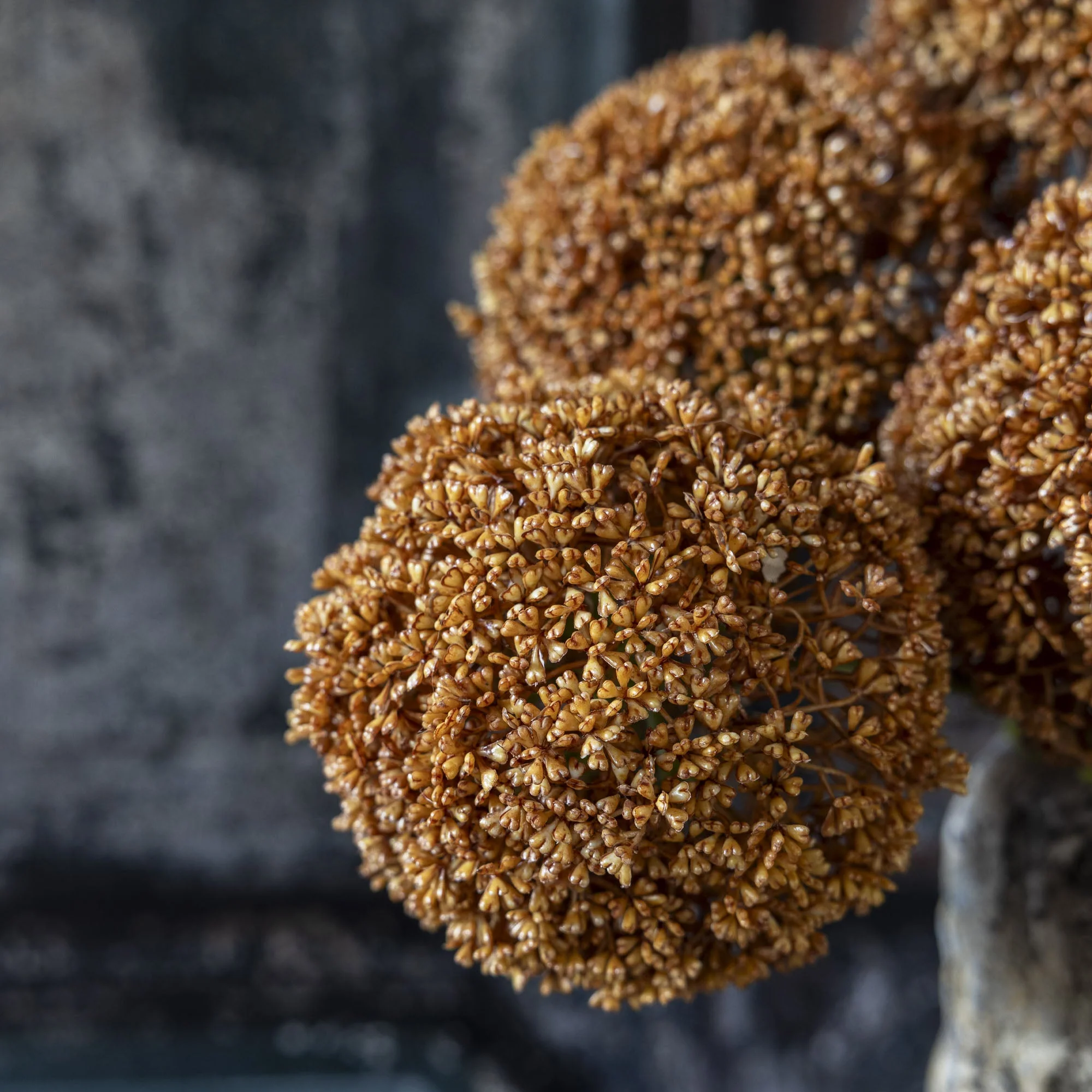 Artificial Allium, Umber - Image 2