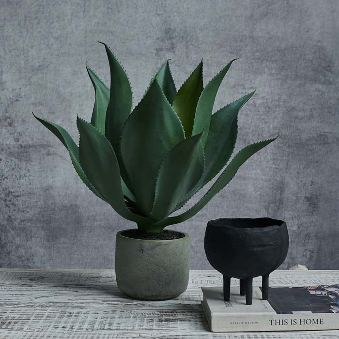 Artificial Aloe Vera in Pot - Image 4