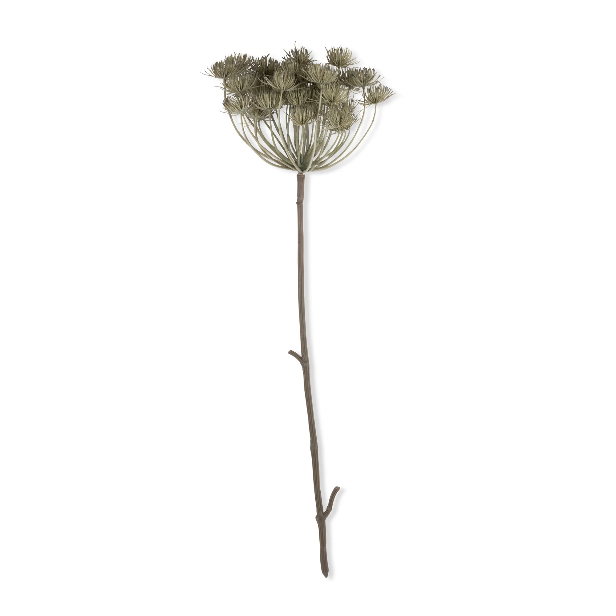 Artificial Angelica, Haze - Image 3