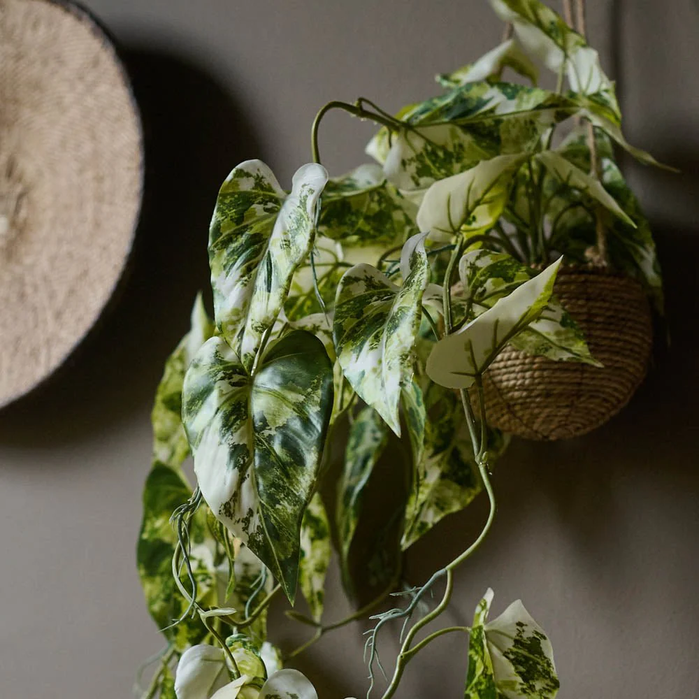 Artificial Anthurium in Hanging Pot