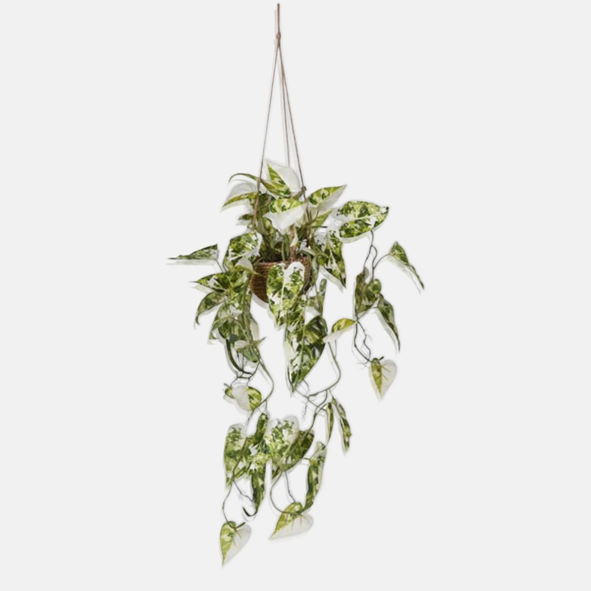 Artificial Anthurium in Hanging Pot - Image 2
