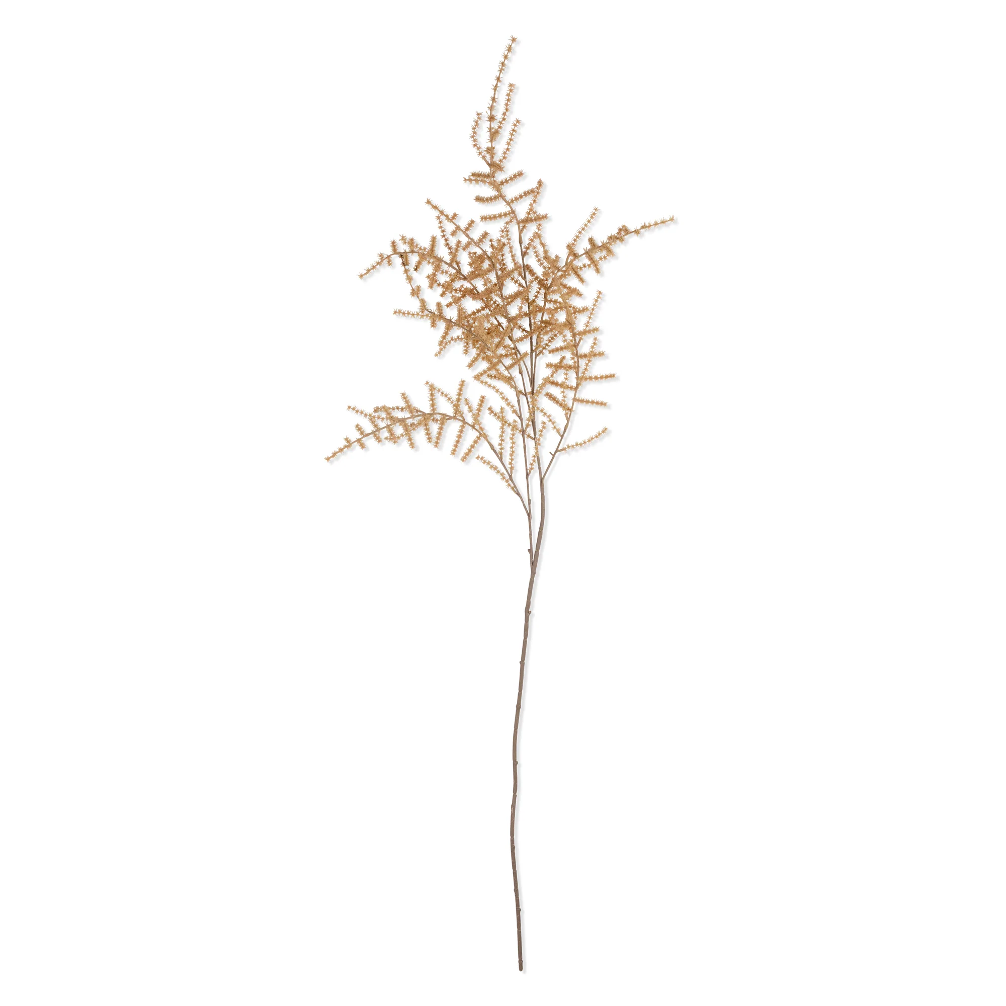 Artificial Asparagus Fern, Desert - Image 3