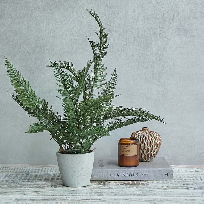 Artificial Bracken Fern - Image 4