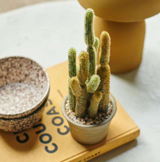 Artificial Cereus Cactus in Pot - Image 2