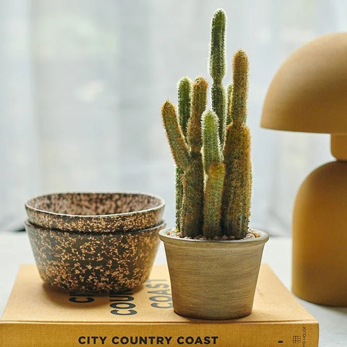 Artificial Cereus Cactus in Pot - Image 3