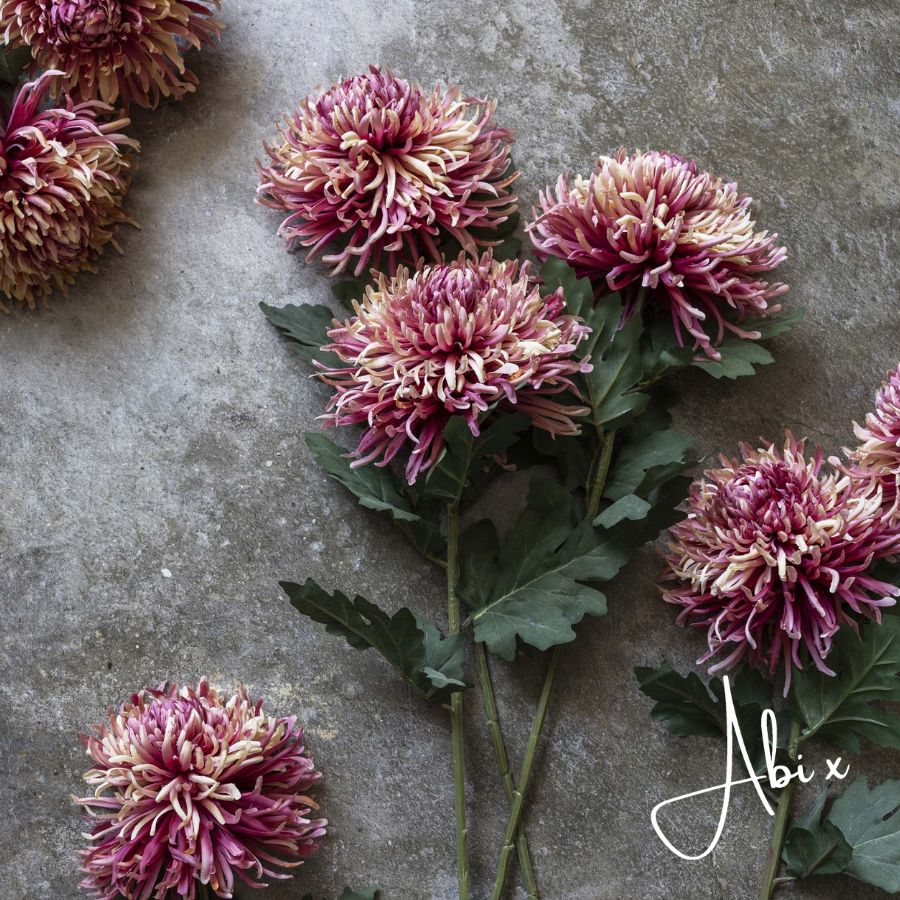 Artificial Chrysanthemum, Sunset - Image 6