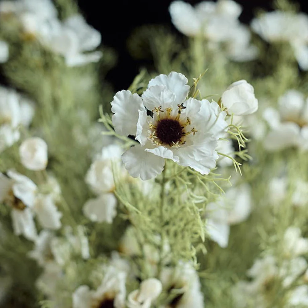 Artificial Cosmos, Cream