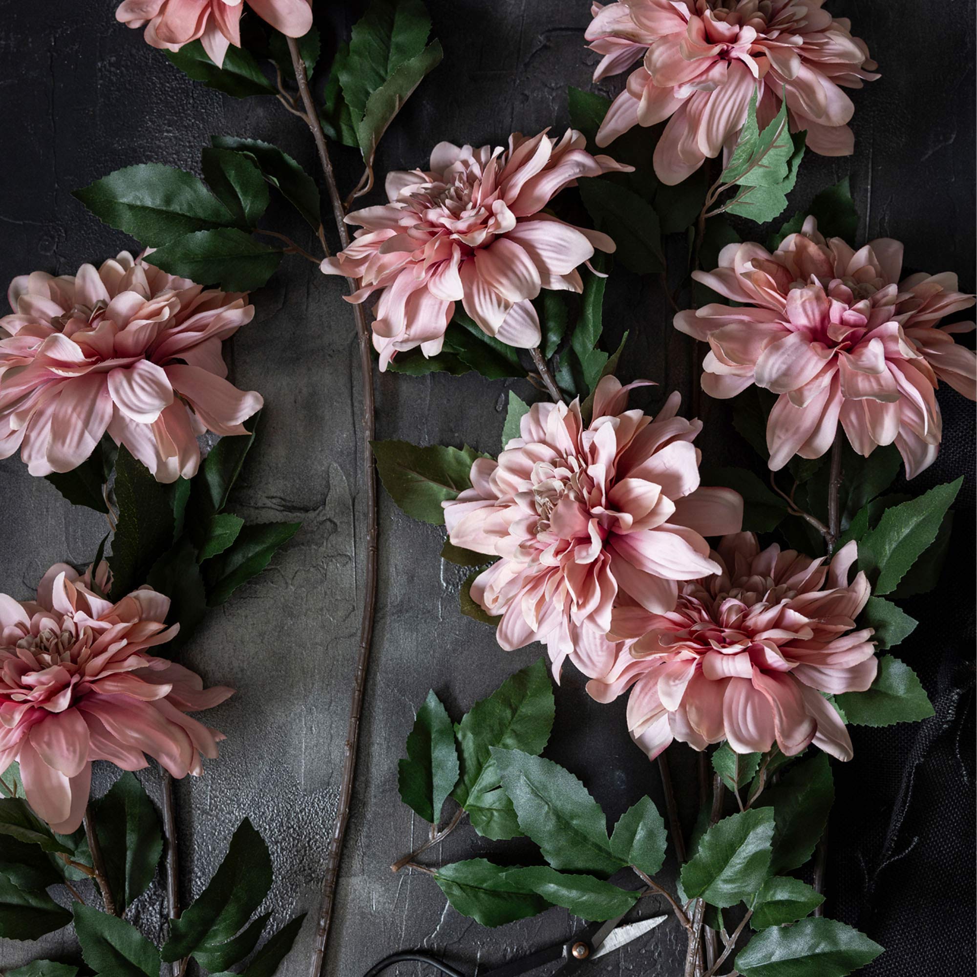 Artificial Dahlia, Flamingo