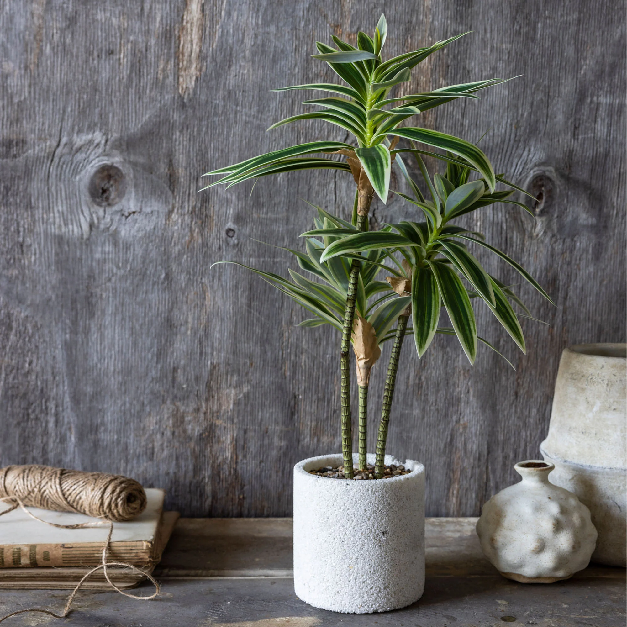 Artificial Dracena - Image 4