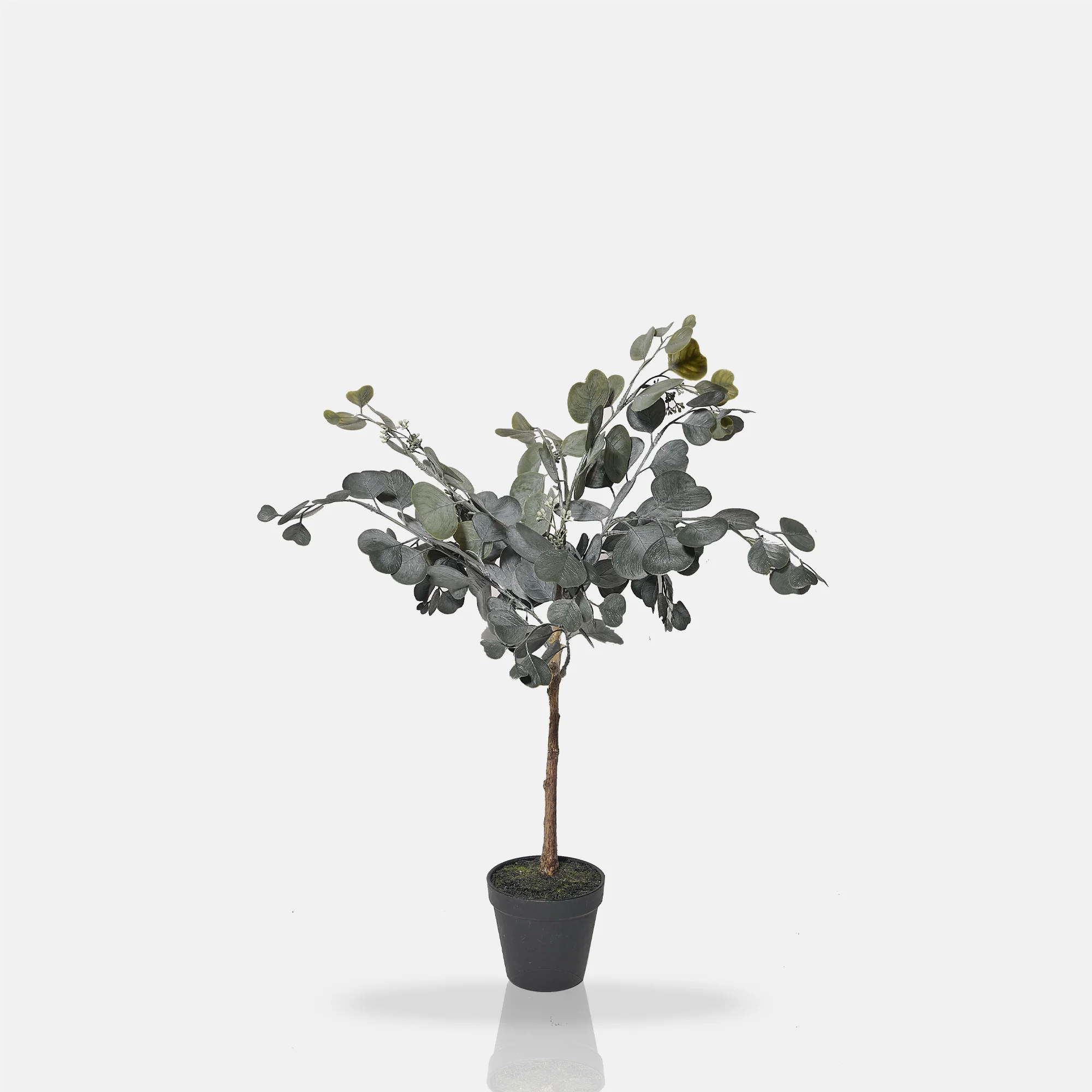 Artificial Eucalyptus - Image 2