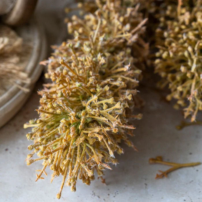 Artificial Foxtail Lily, Honey - Image 2