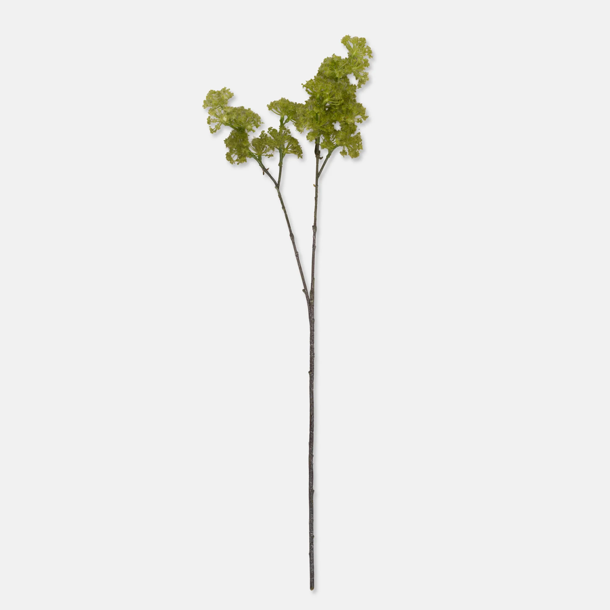 Artificial Guelder, Spring Green - Image 3