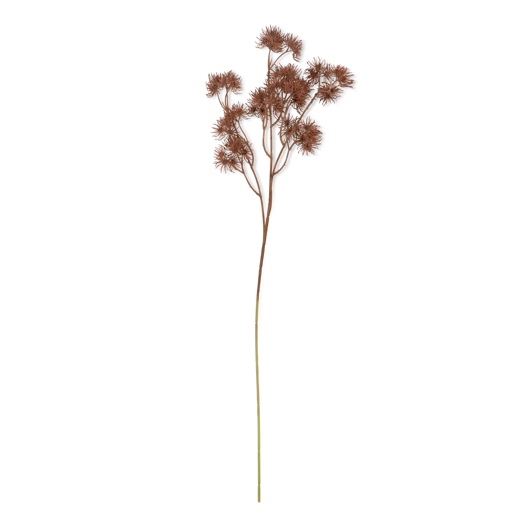 Artificial Hazel - Image 3
