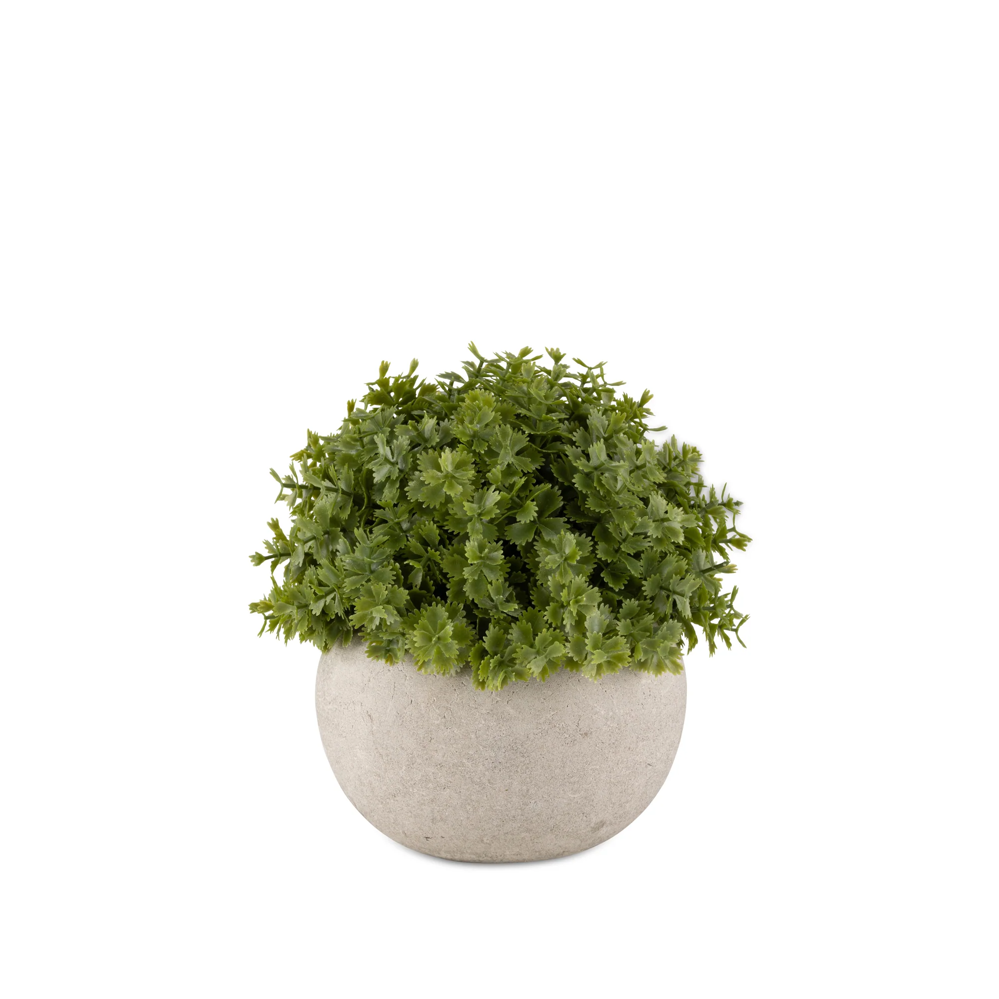 Artificial Hebe Plant in Pot - Image 2