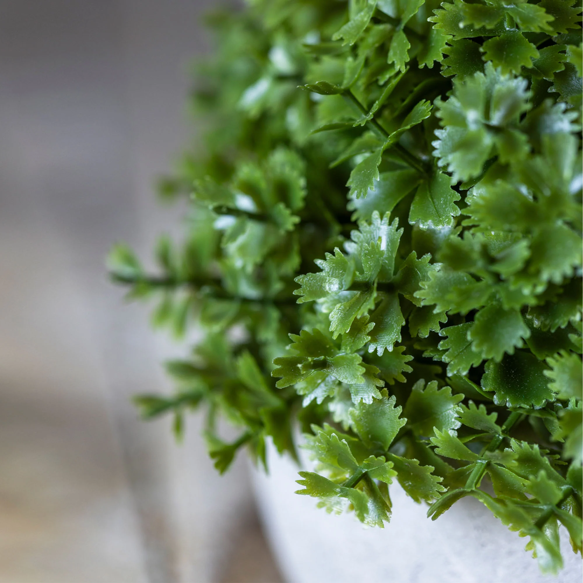 Artificial Hebe Plant in Pot - Image 3
