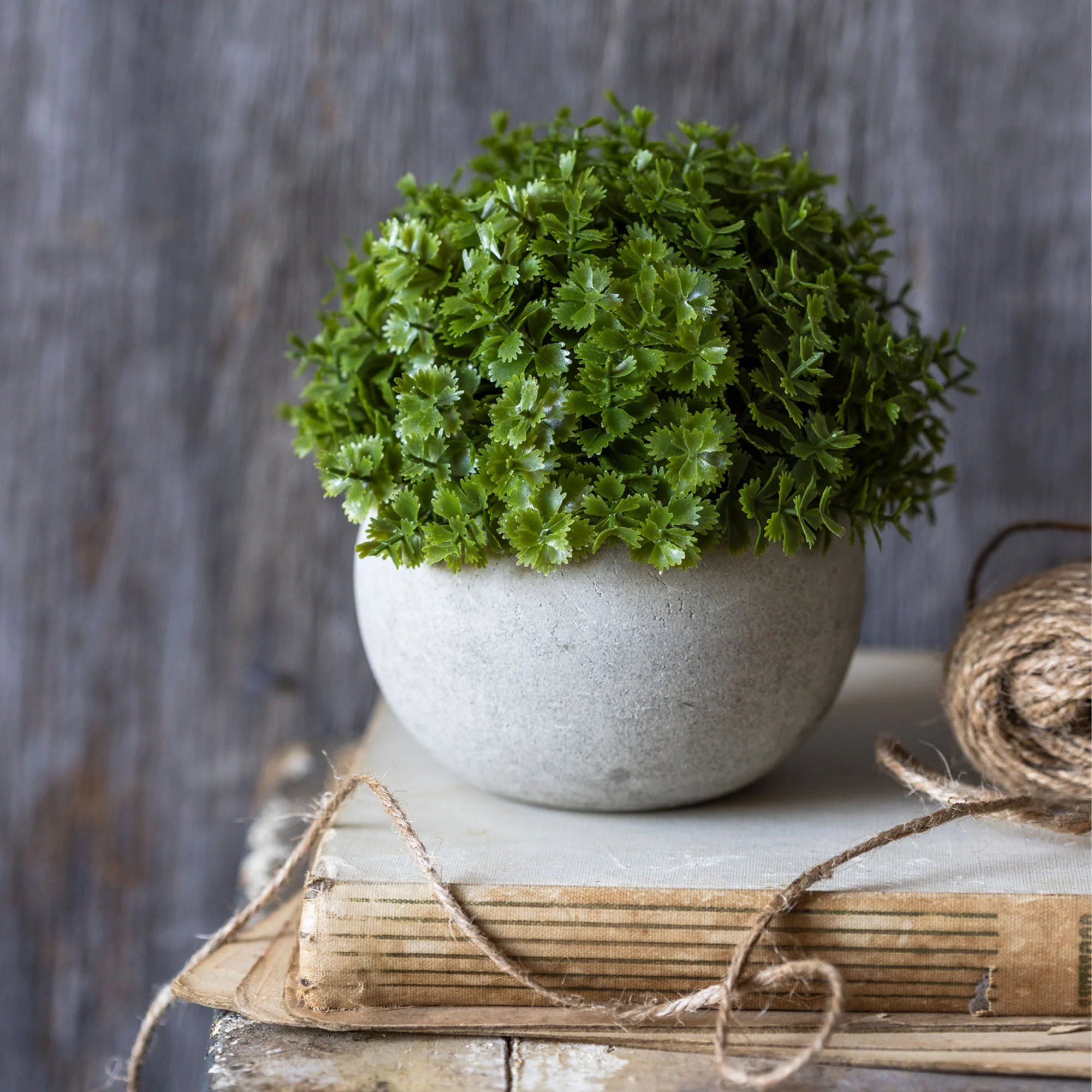 Artificial Hebe Plant in Pot - Image 4