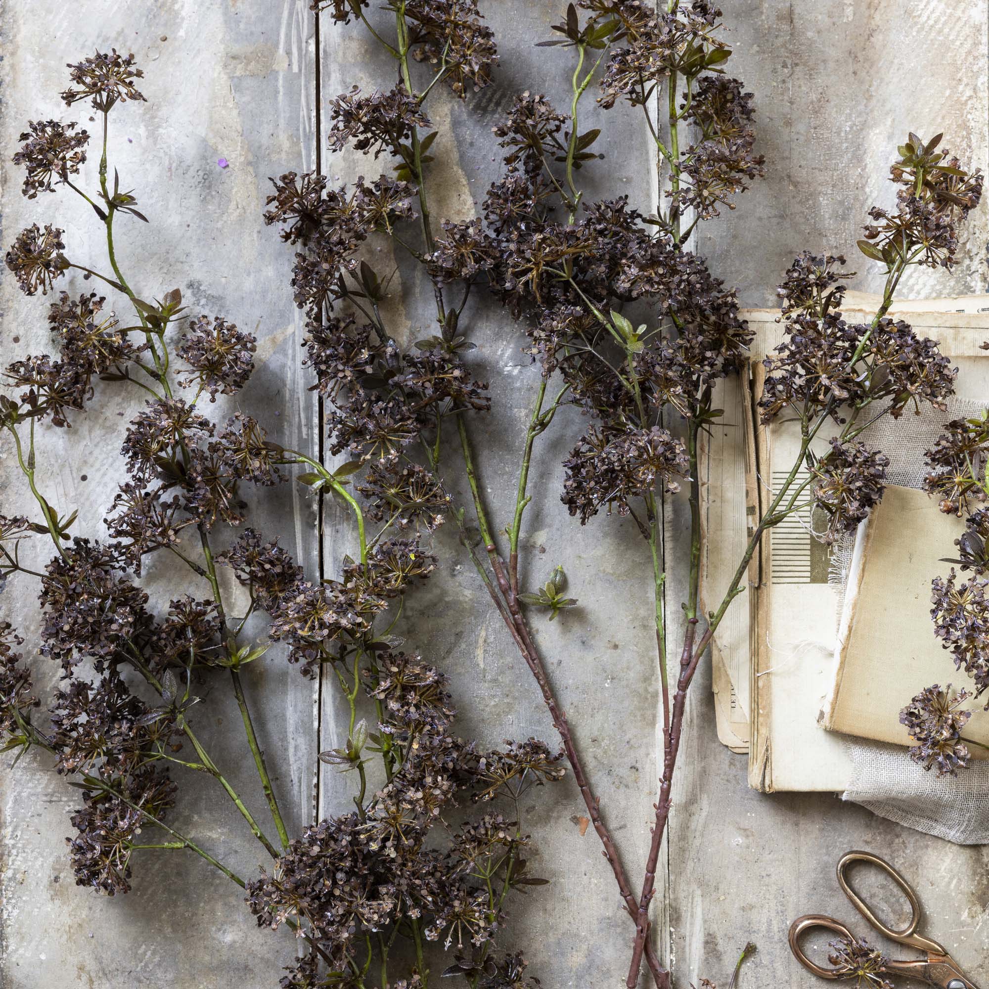 Artificial Hogweed