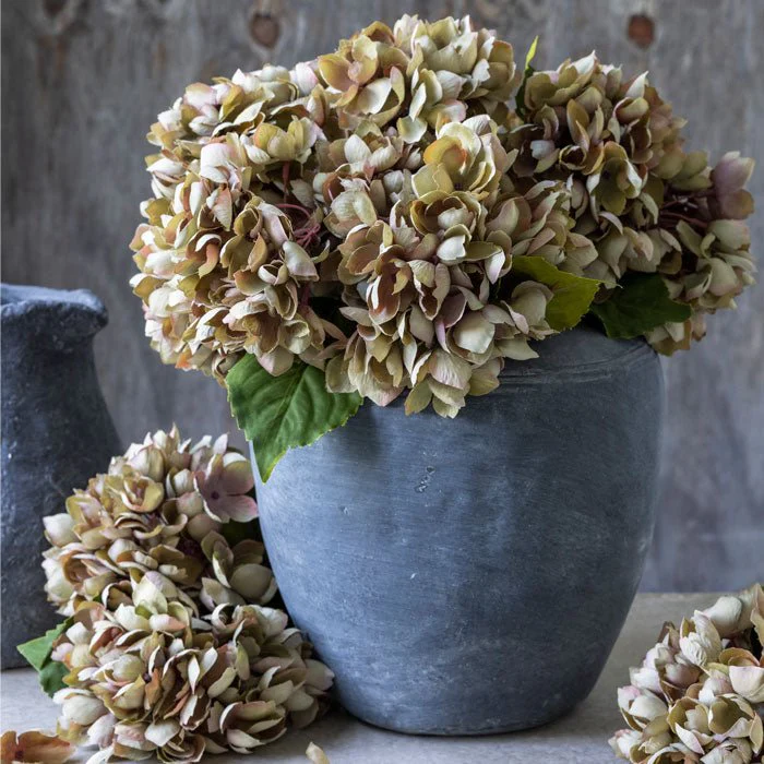 Artificial Hydrangea, Dusk