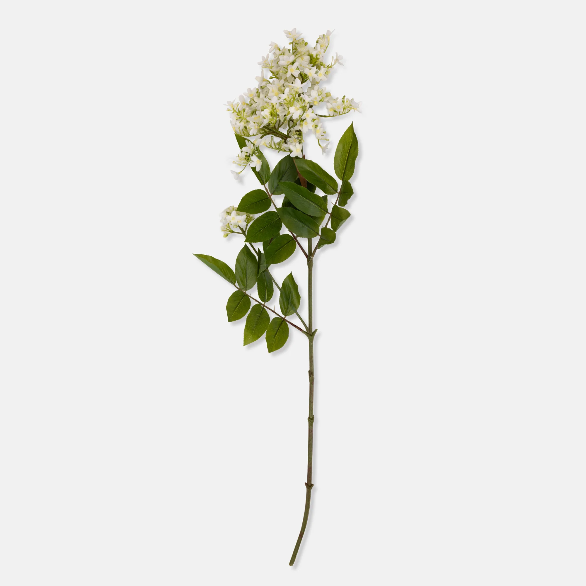 Artificial Lilac Stem, White - Image 3