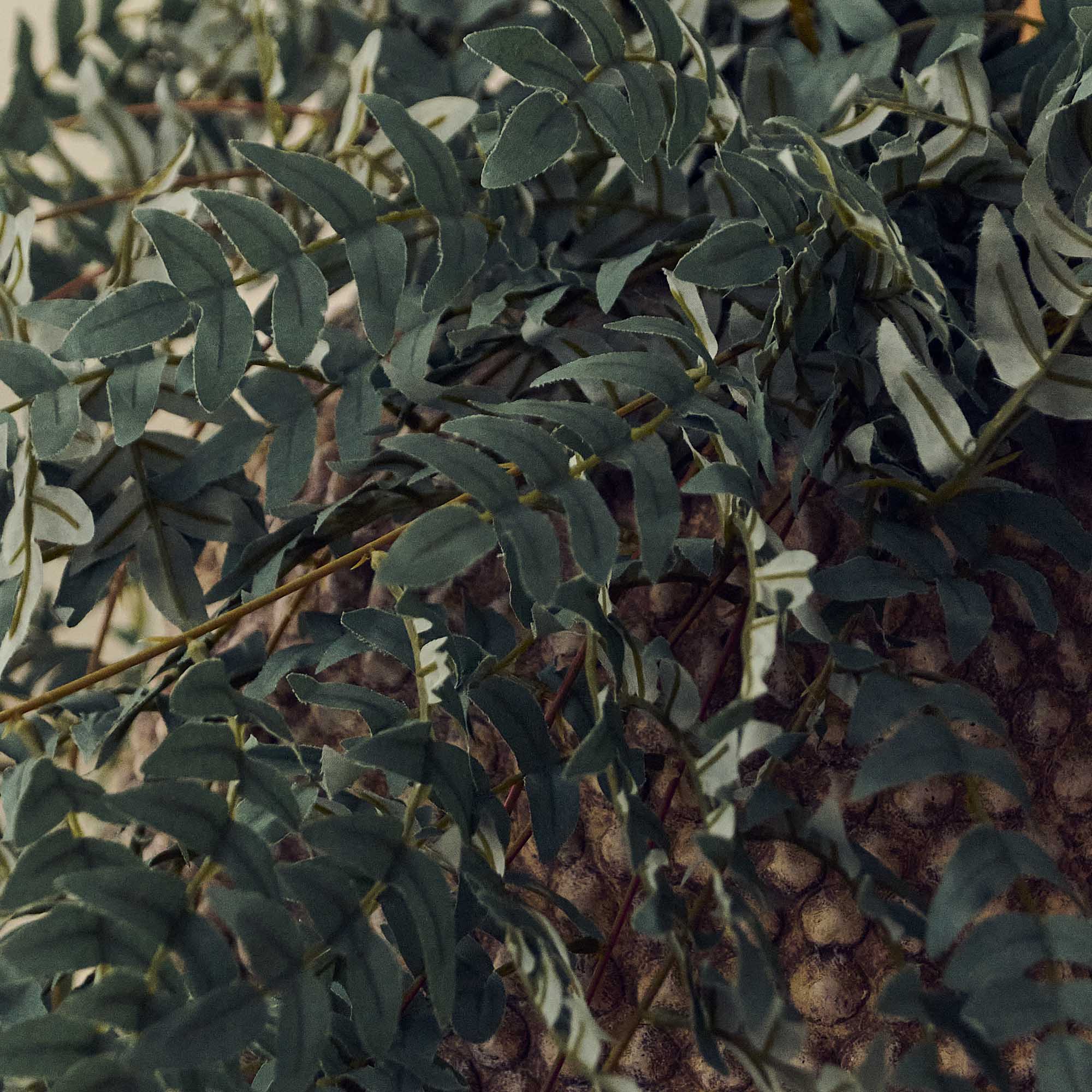 Artificial Olive Leaves Branch