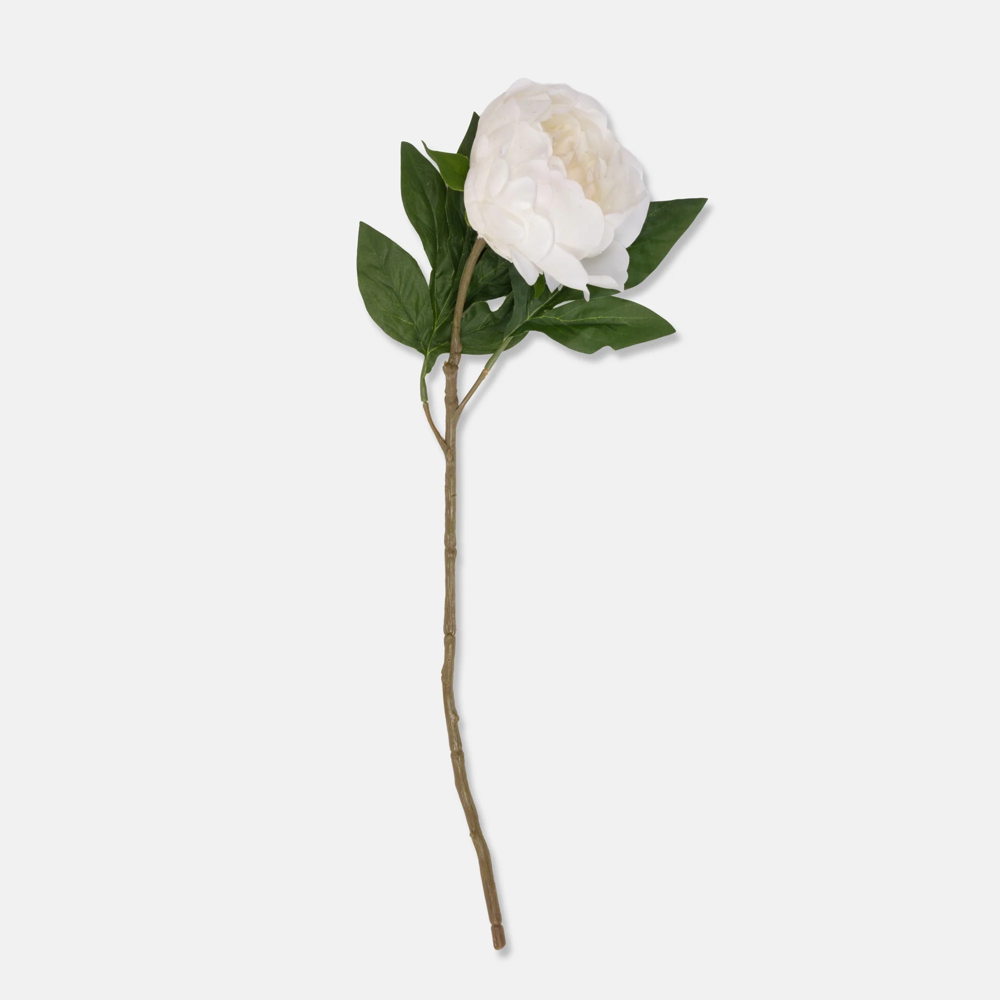 Artificial Real Touch Peony, White - Image 3