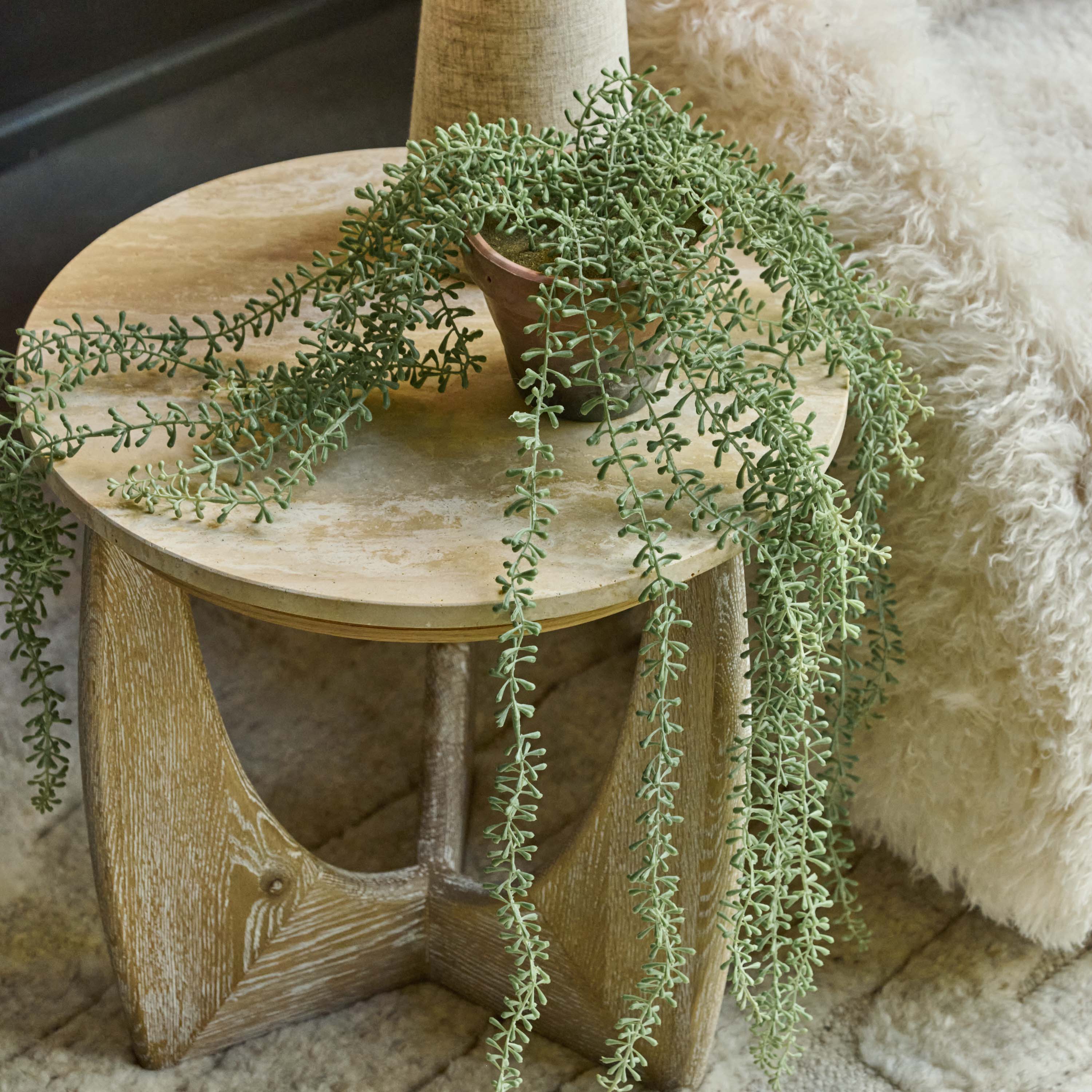 Artificial Potted String of Pearls - Image 5
