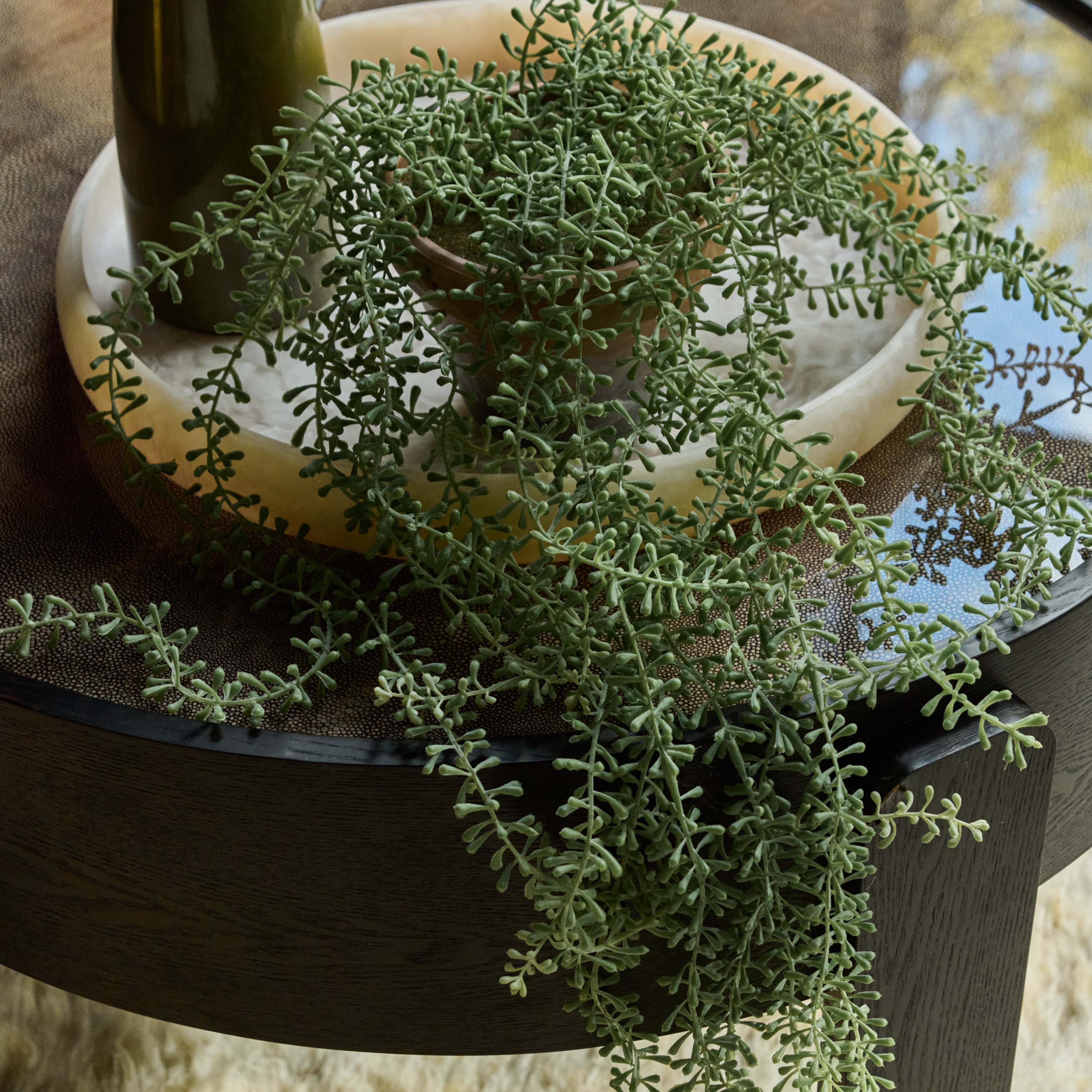 Artificial Potted String of Pearls - Image 6