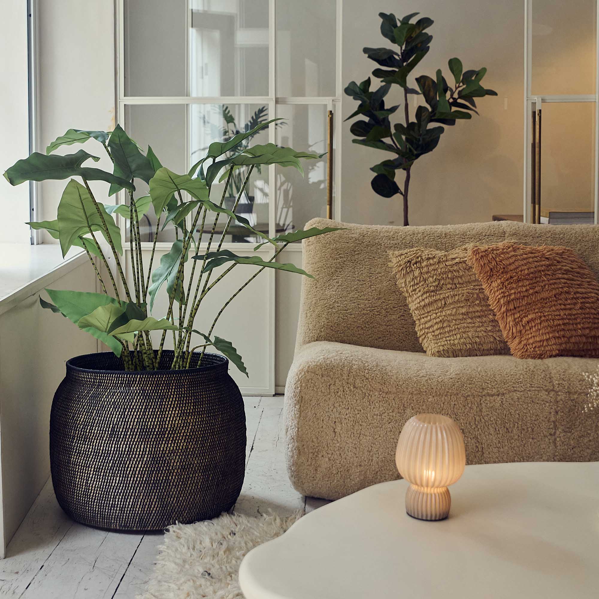 Artificial Potted Zebra Plant - Large - Image 3