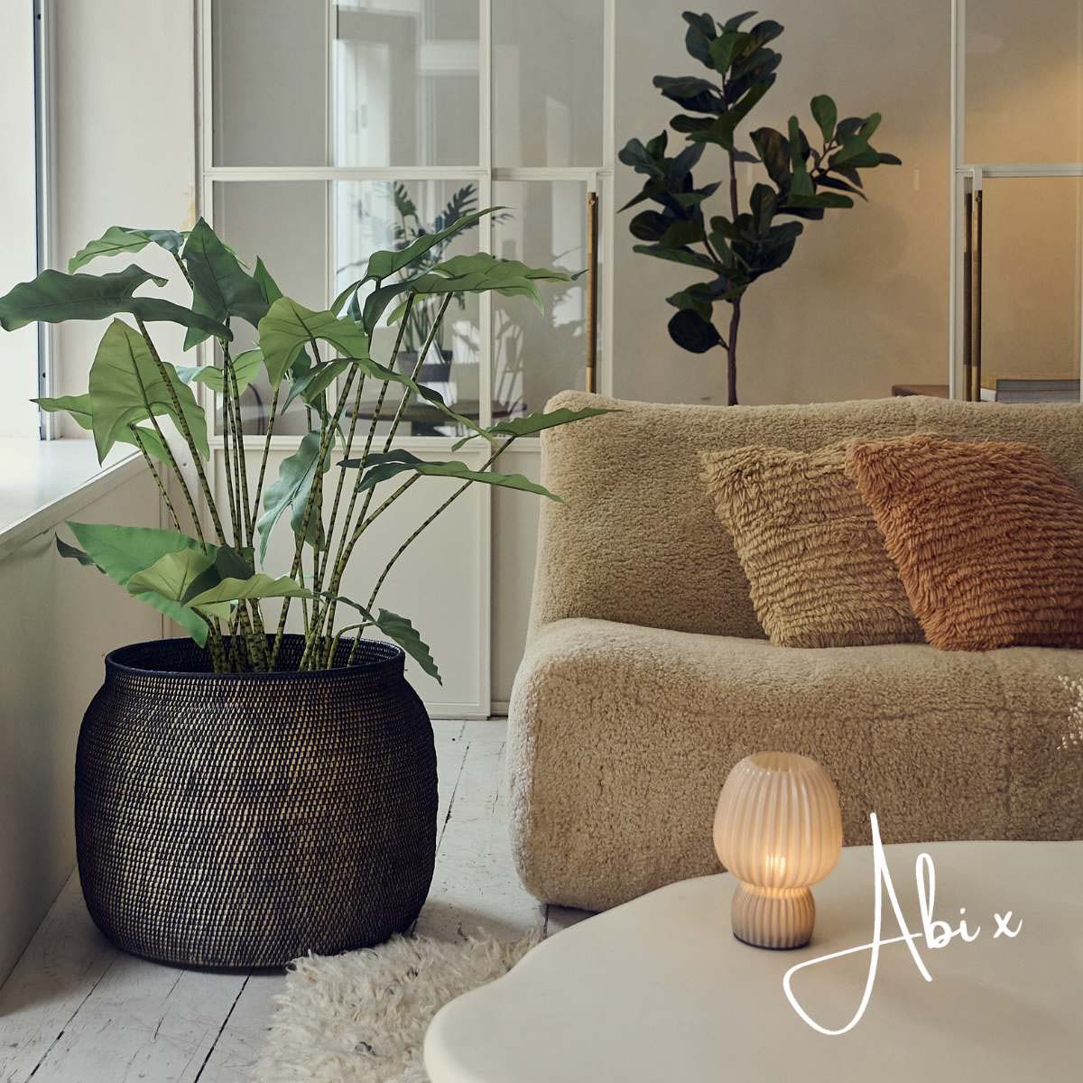 Artificial Potted Zebra Plant - Large - Image 5