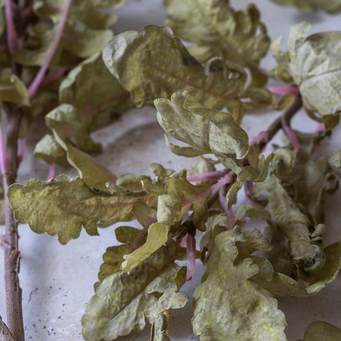 Artificial Ragwort - Image 2