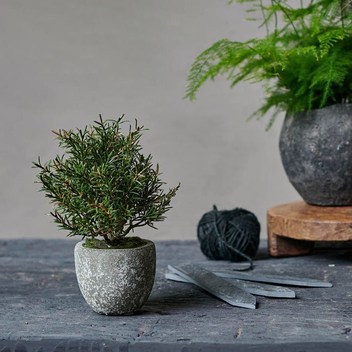 Artificial Rosemary Bush in Pot - Image 6
