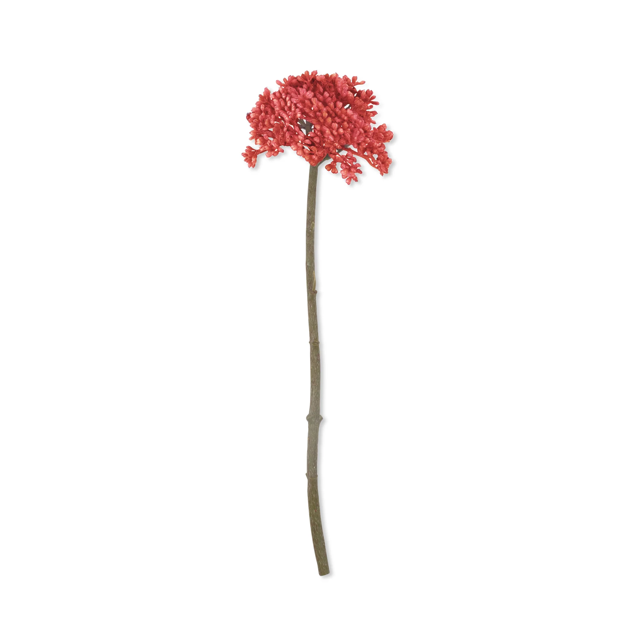 Artificial Sedum, Coral - Image 3