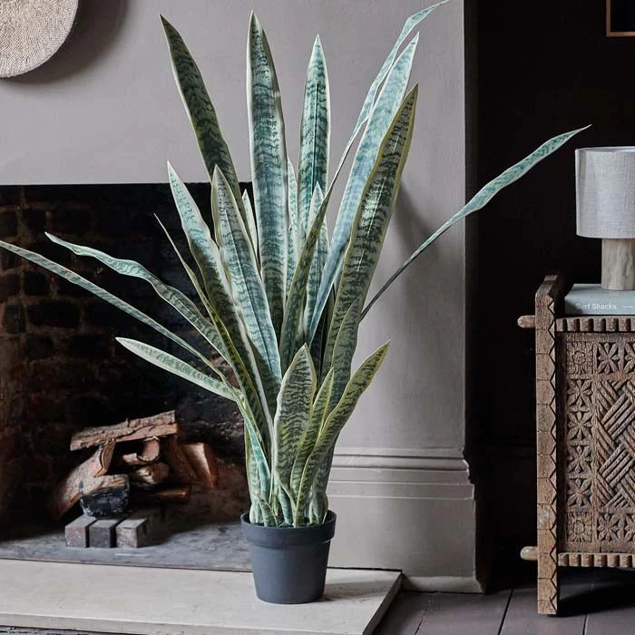 Artificial Snake Plant in Pot - Image 4