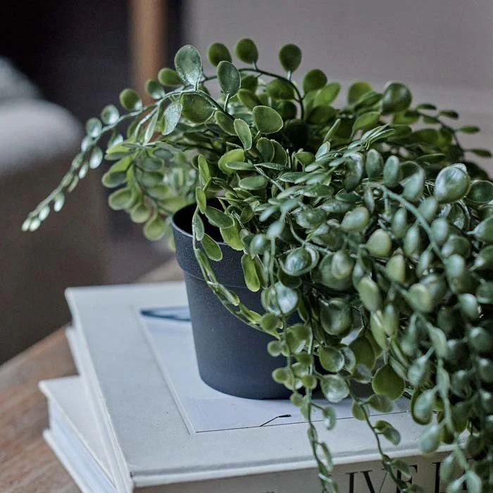 Artificial Trailing Button Fern - Image 3