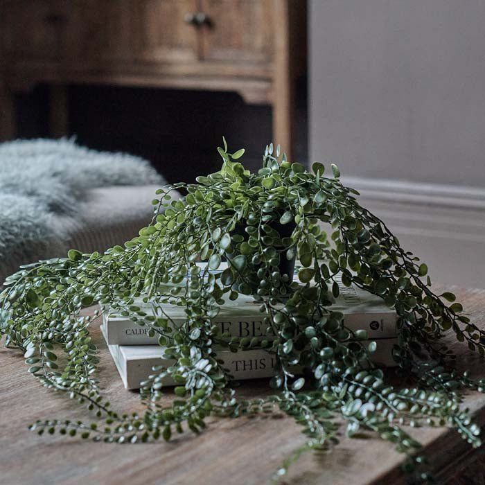 Artificial Trailing Button Fern - Image 4