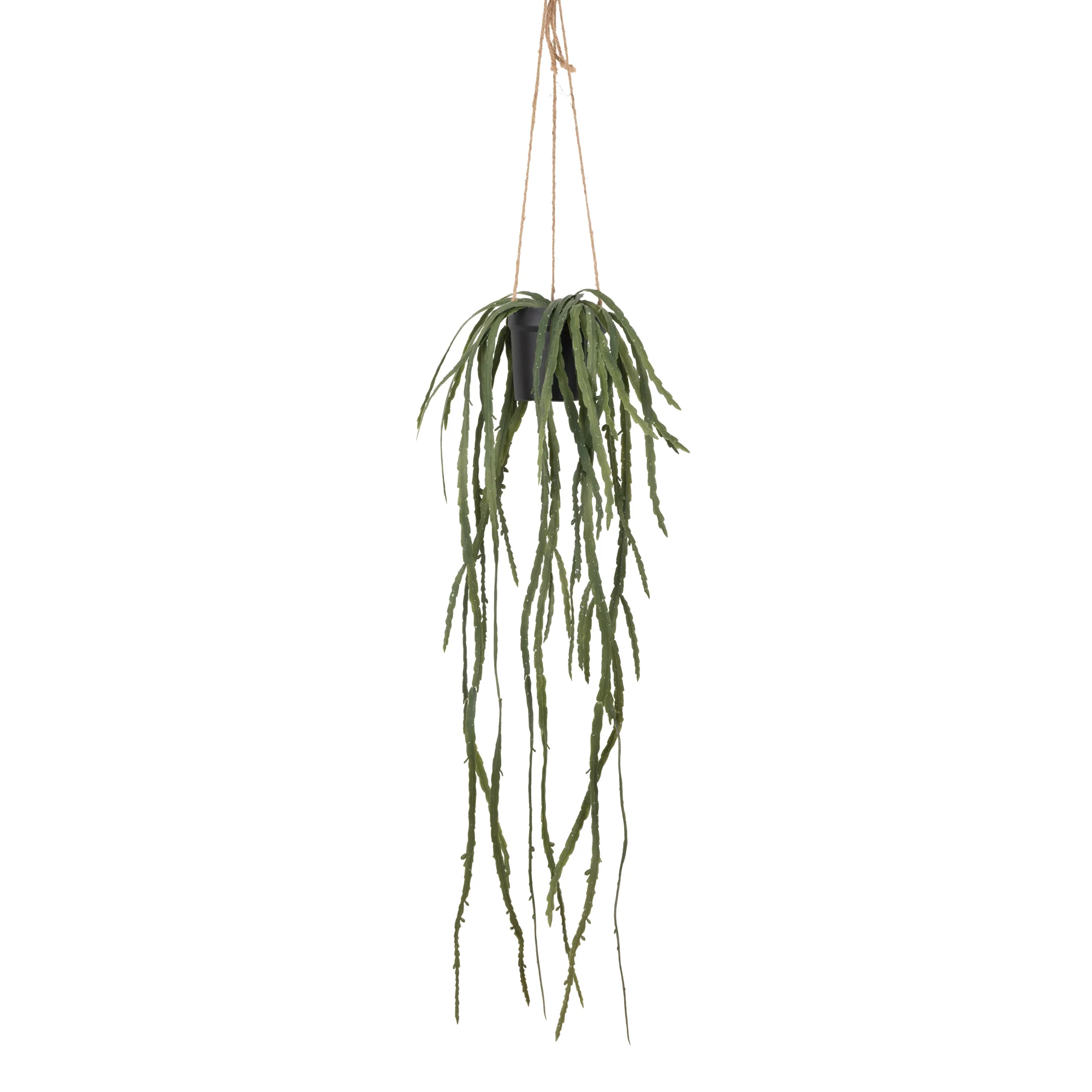 Artificial Trailing Cactus - Image 2