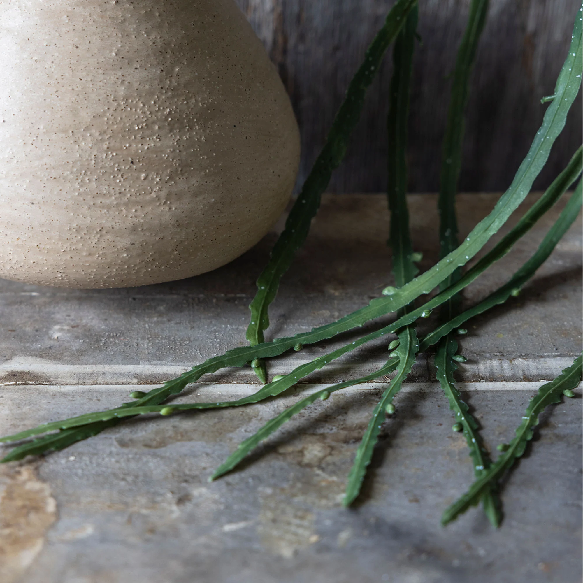 Artificial Trailing Cactus - Image 6