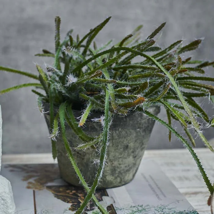 Artificial Trailing Cactus in Pot