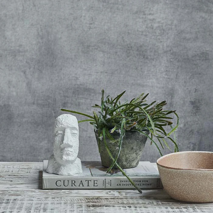 Artificial Trailing Cactus in Pot - Image 4