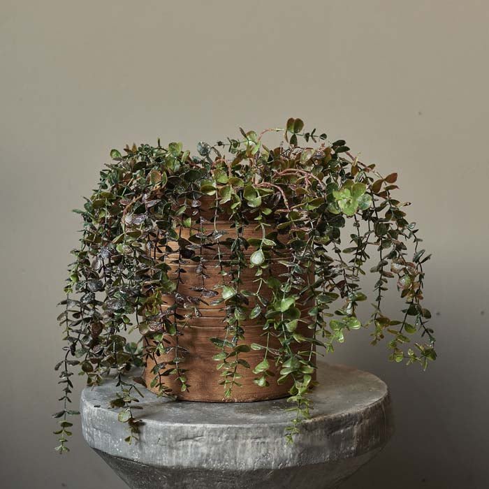 Artificial Trailing Eucalyptus Branch - Image 4