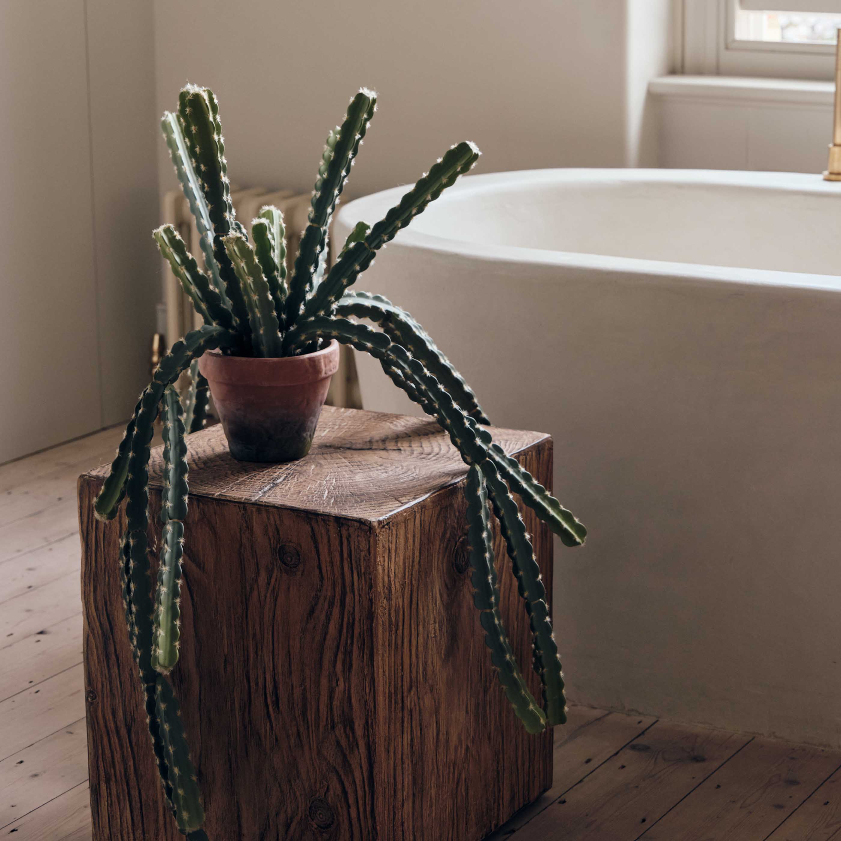 Artificial Trailing Hurricane Cactus
