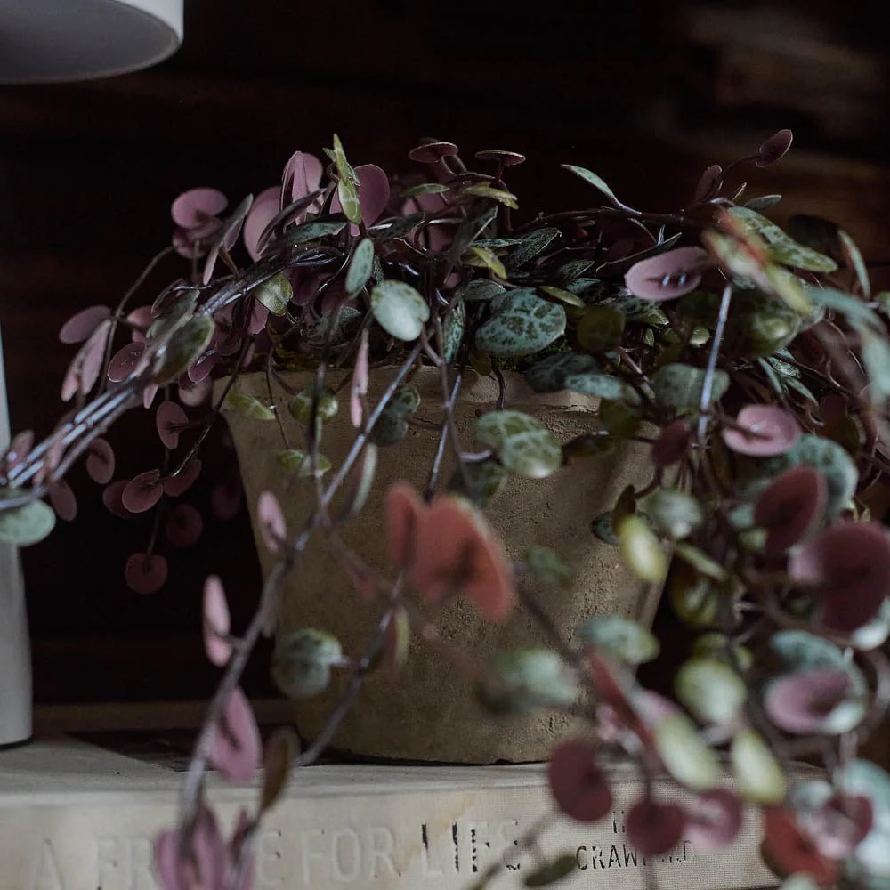 Artificial Trailing String of Hearts - Image 3
