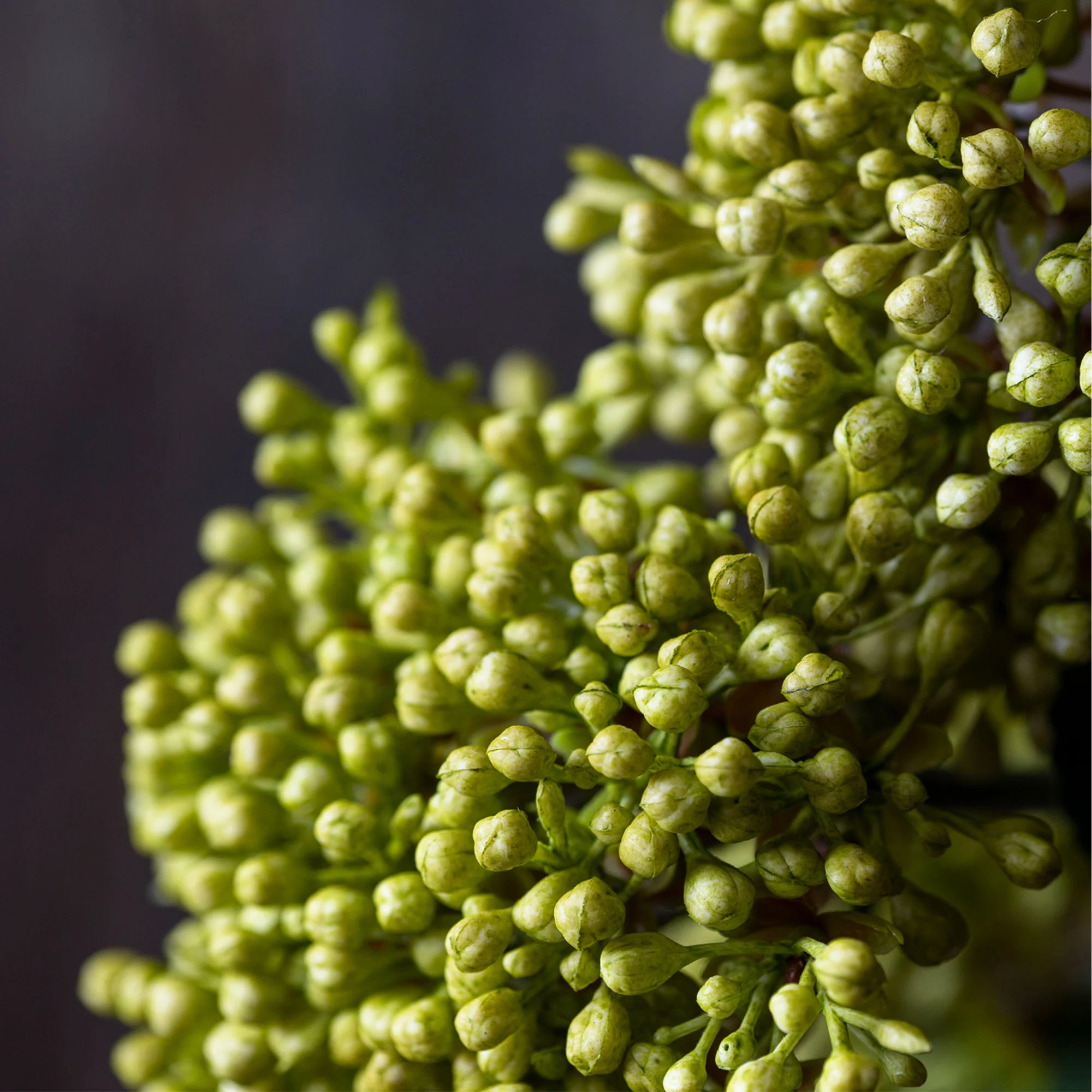 Artificial Viburnum, Olive - Image 2
