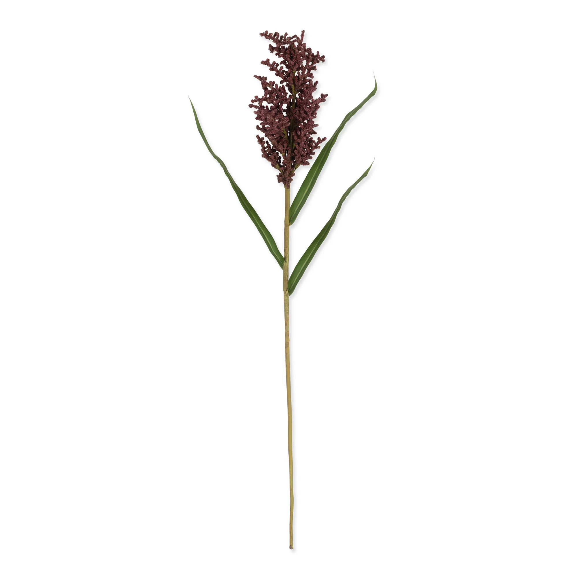 Artificial Wetland Heirloom - Image 3