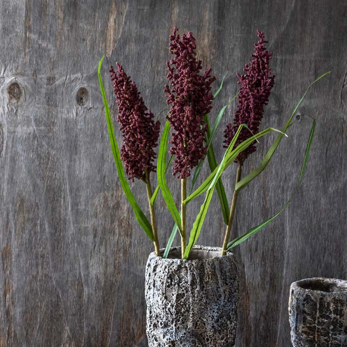 Artificial Wetland Heirloom - Image 4