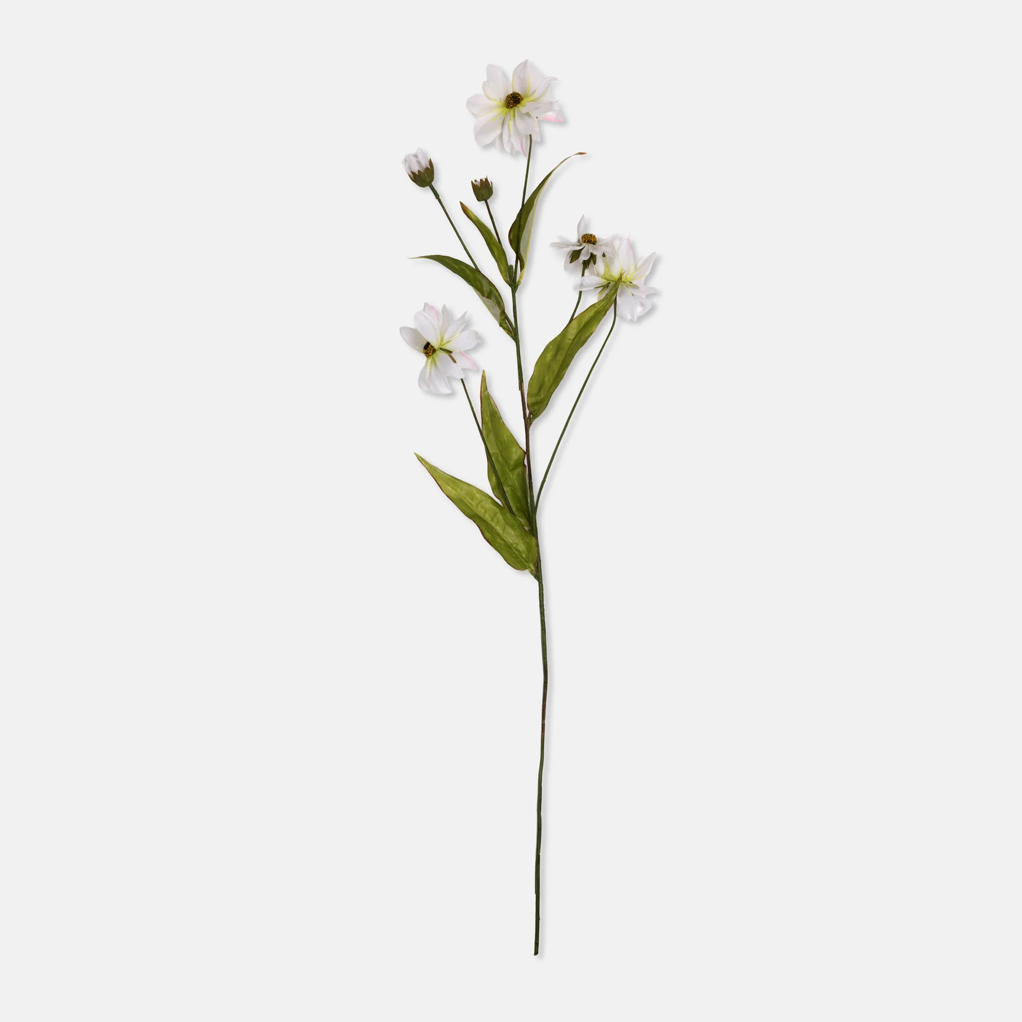 Artificial Wild Cosmos - Image 3