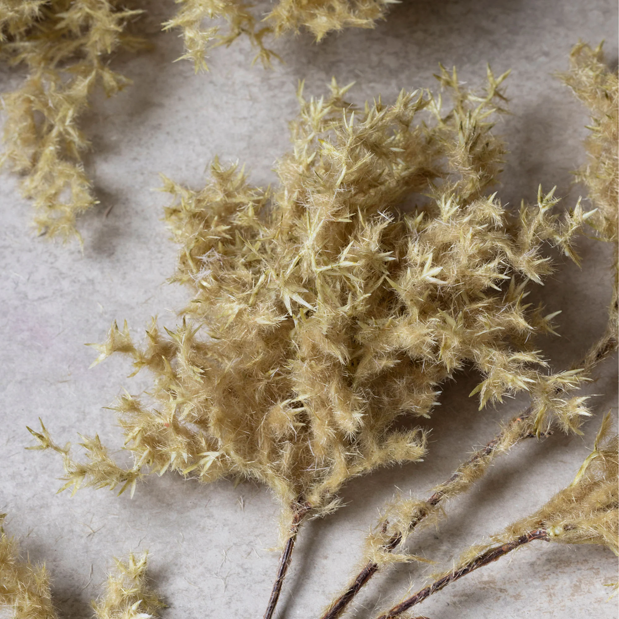 Artificial Wild Fog Grass, Buff - Image 2
