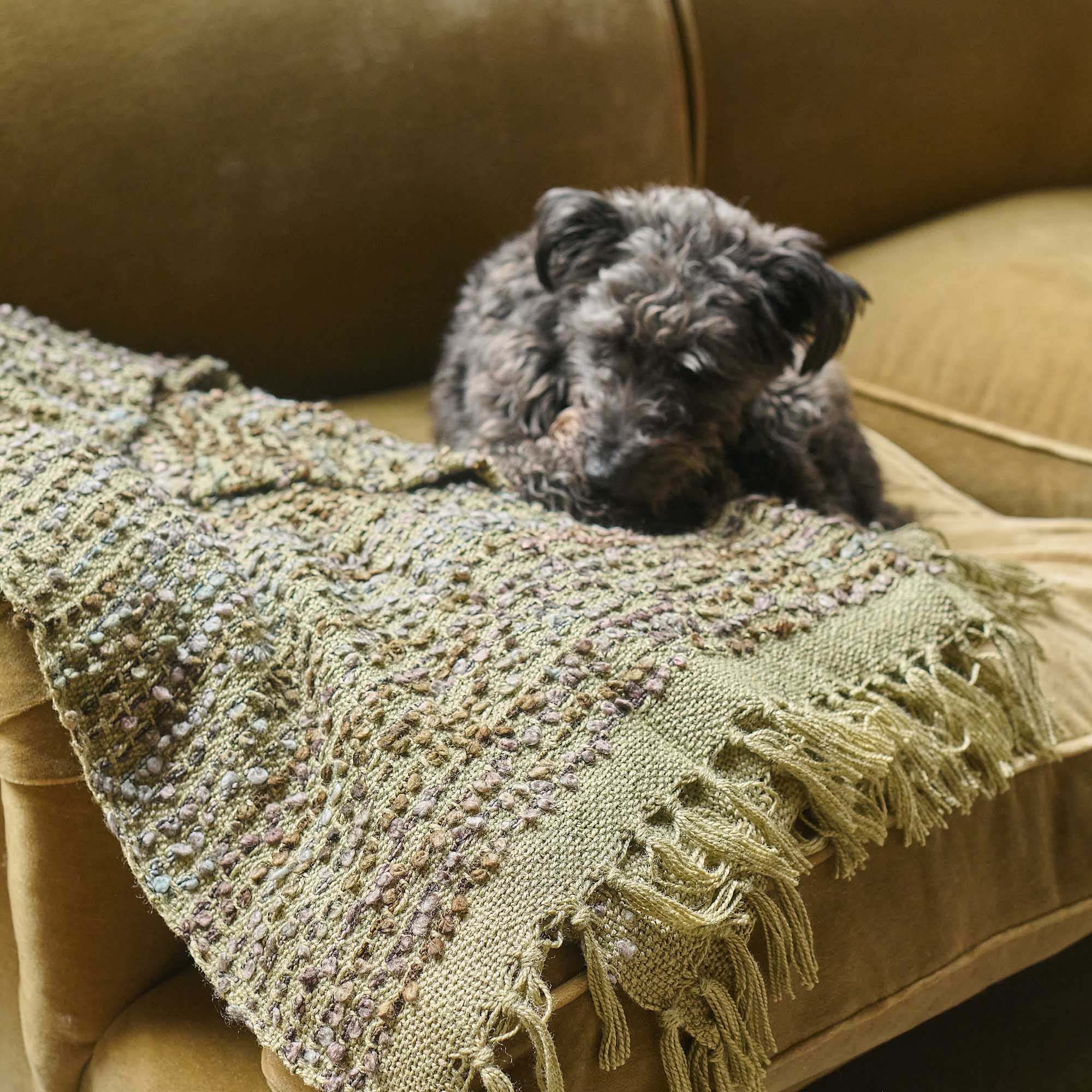 Colbert Textured Throw